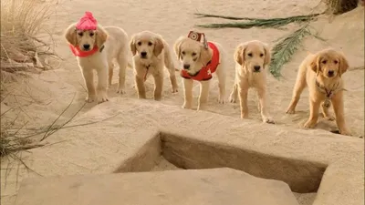 Hazine Bekçileri izle